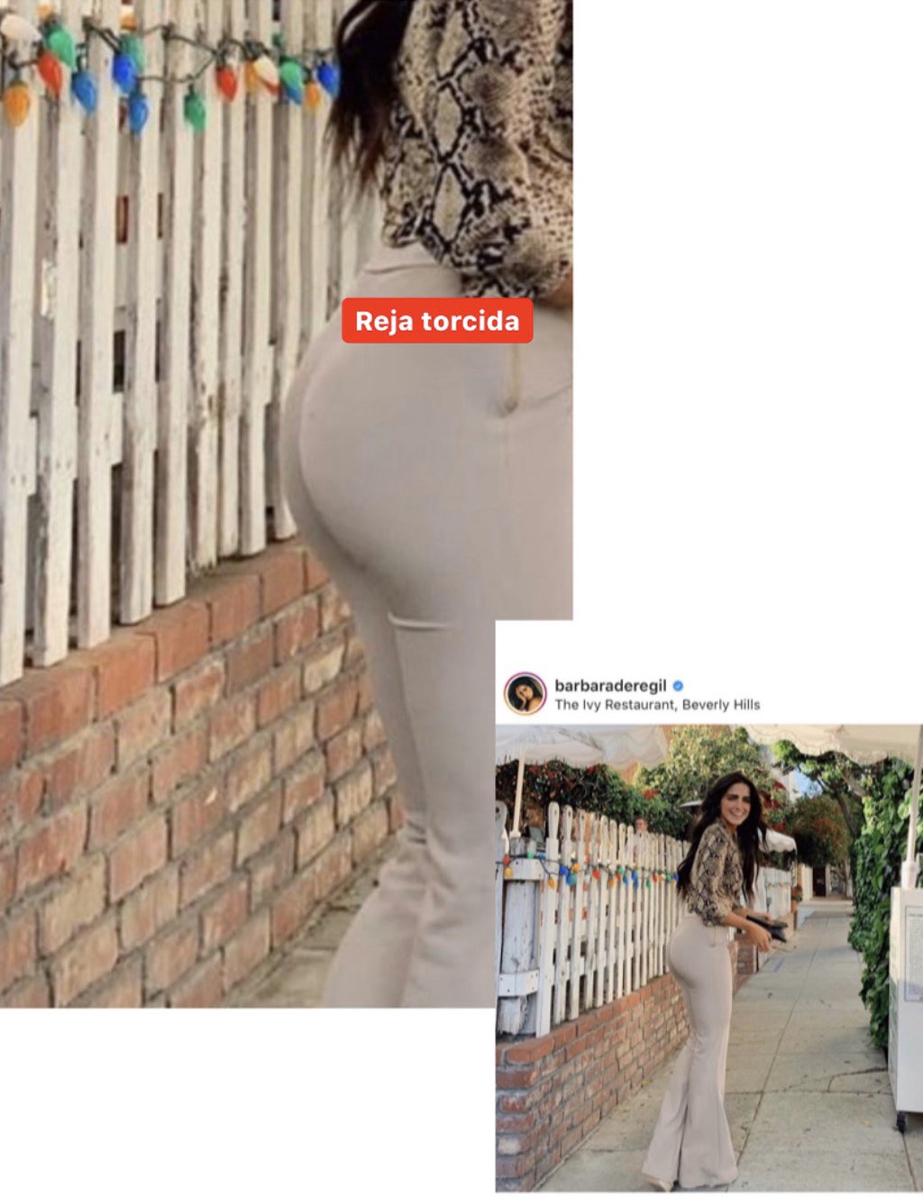 Bárbara de Regil: Difunden fotos viral de actriz mexicana con photoshop y  ella amenaza a cuenta de Instagram | Espectáculos | La República