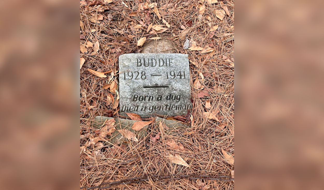 Facebook viral: joven encuentra la tumba de un perro de hace 80 años y se conmueve al saber su historia | Kiroli Park | Estados Unidos | | Tendencias | La República