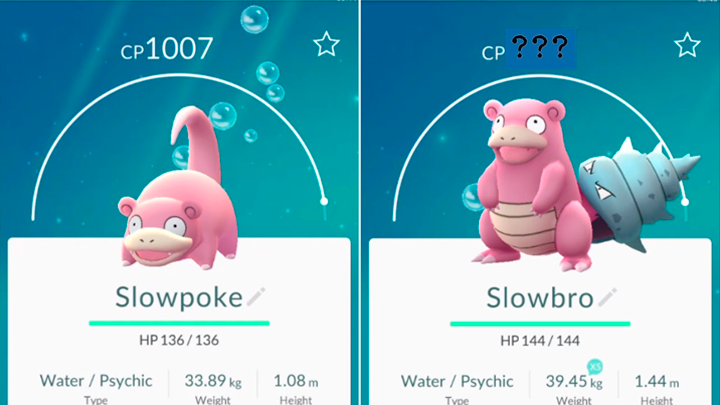 Pokémon: Por qué Shellder se ve tan diferente en Slowbro - Nintenderos