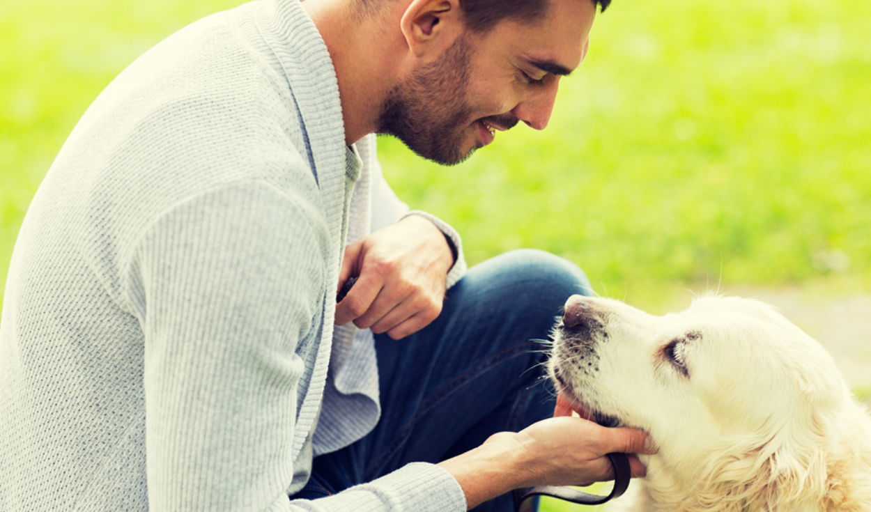 Los perros pueden sentir empatía, según un estudio