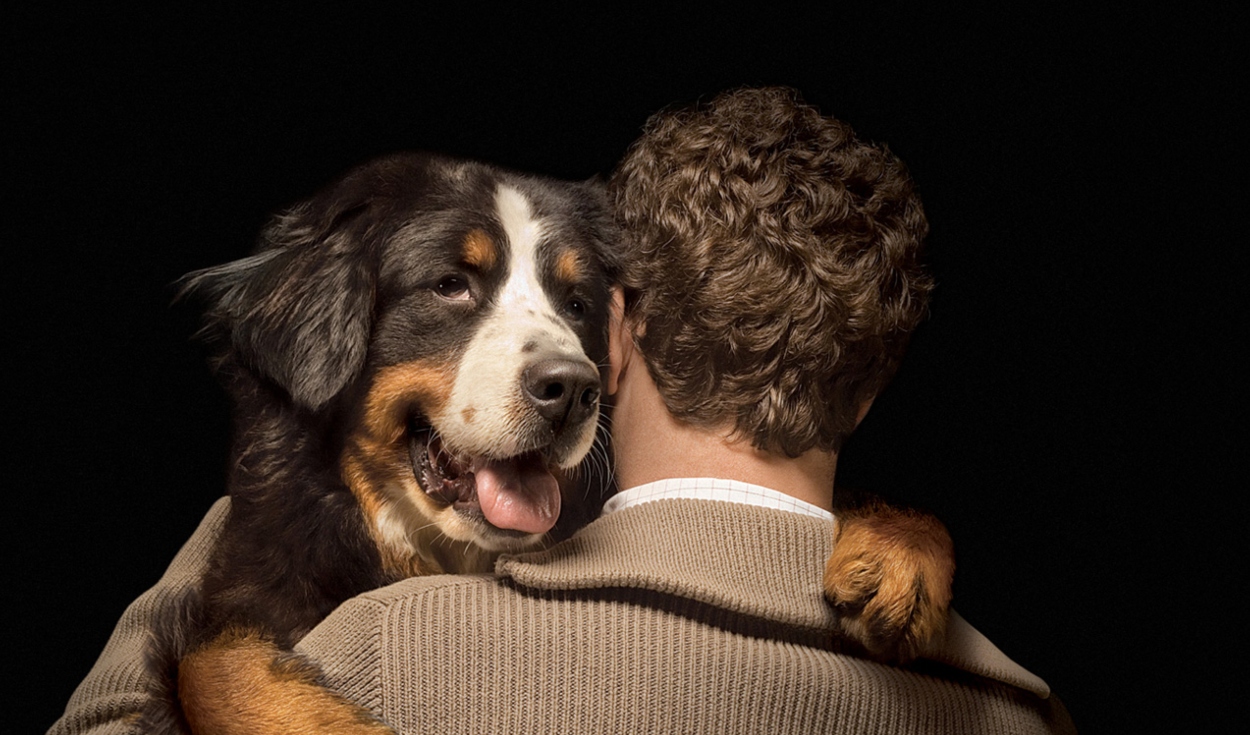 Día del Padre: perros con frases bonitas para los papás perrunos | fotos |  imagen dia del padre 2022 | como saludar por el dia del padre | Respuestas  | La República