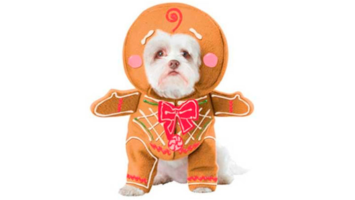 Ropa navideña para perros: y graciosos estilos para vestir a tu mascota esta Navidad | FOTOS | ATMP | Tendencias | La República