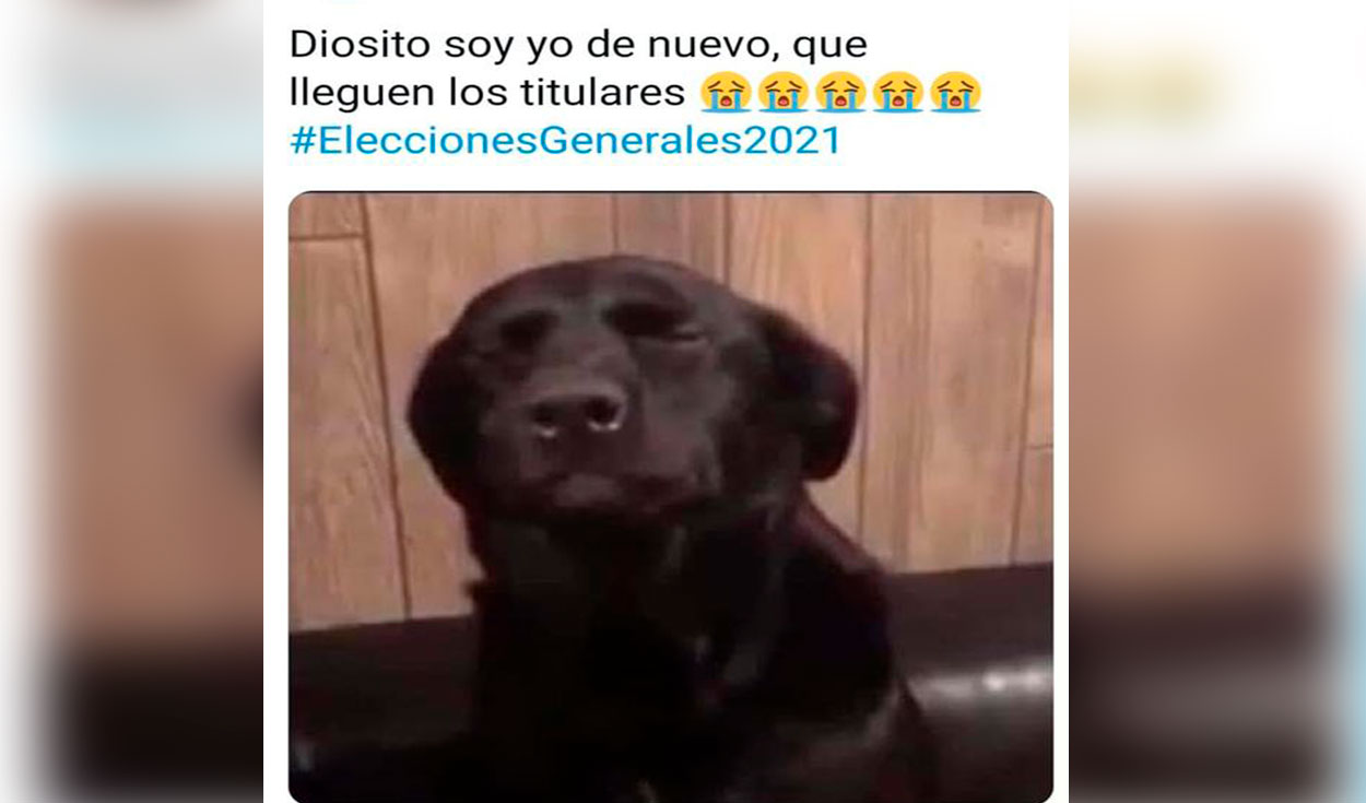 Memes flash electoral Elecciones 2021 Perú: mejores imágenes resultados  jornada electoral HOY para compartir en facebook, whatsapp y otras redes  sociales | Tendencias | La República