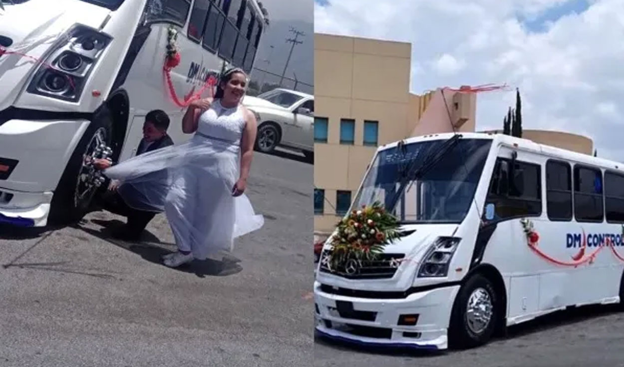 TikTok viral: perrito sube a bus de transporte público y cobrador le exige  pagar pasaje: “No se haga el dormido” | Video | Video viral | La República