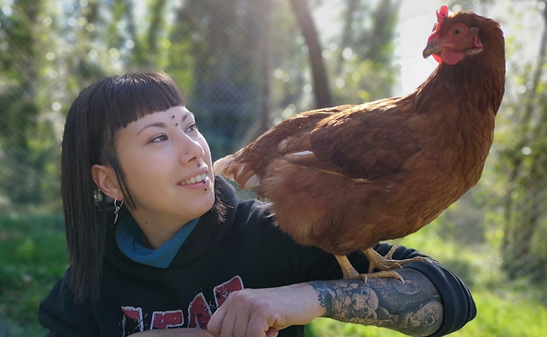 Almas Veganas | España: Activista de las gallinas violadas confiesa que  trabajó en un matadero | animales | Mundo | La República