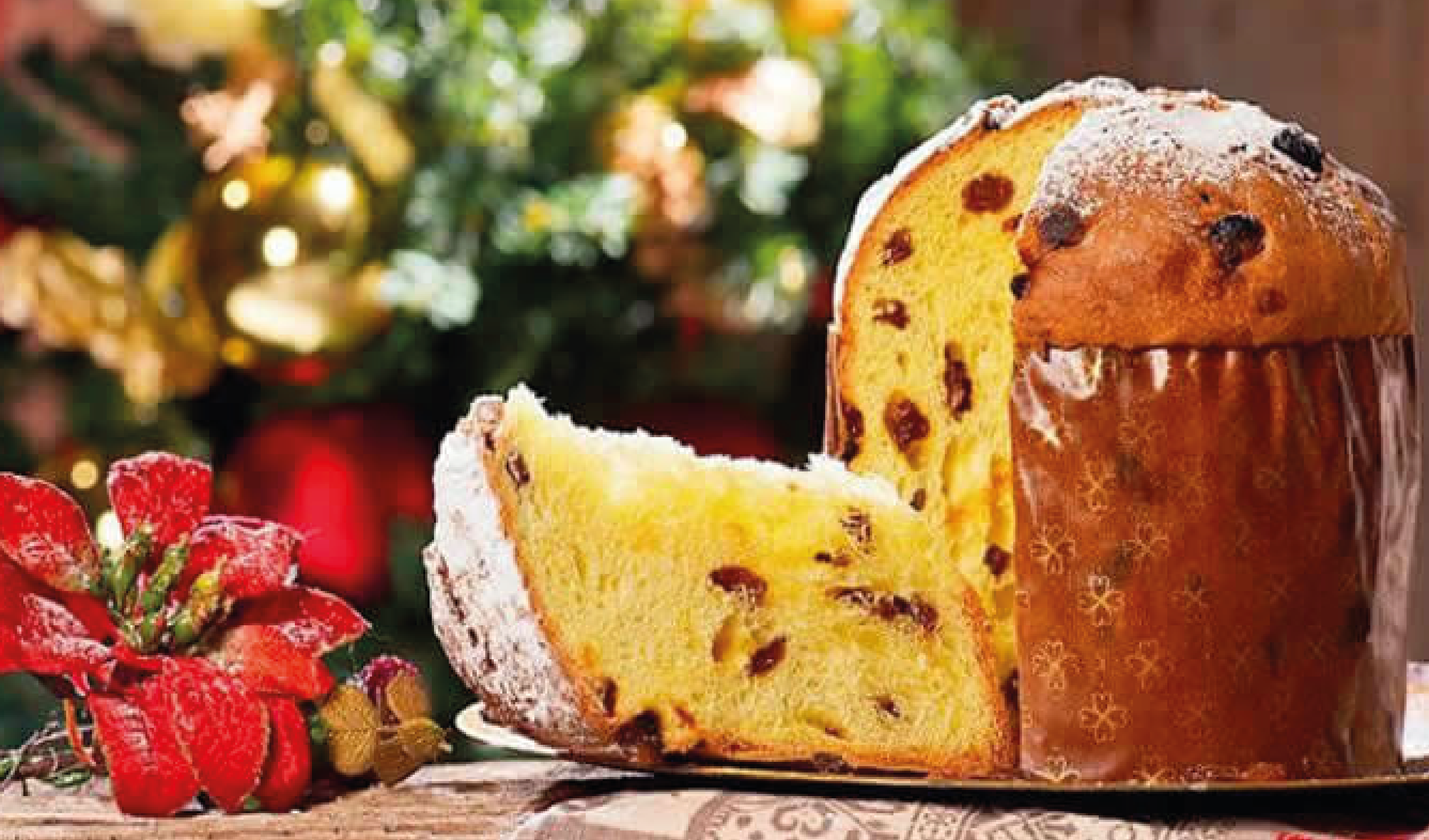 Navidad 2021: ¿Por qué se acostumbra comer panetón en Navidad? conoce el  origen de esta tradición en Nochebuena | Viral | Respuestas | La República