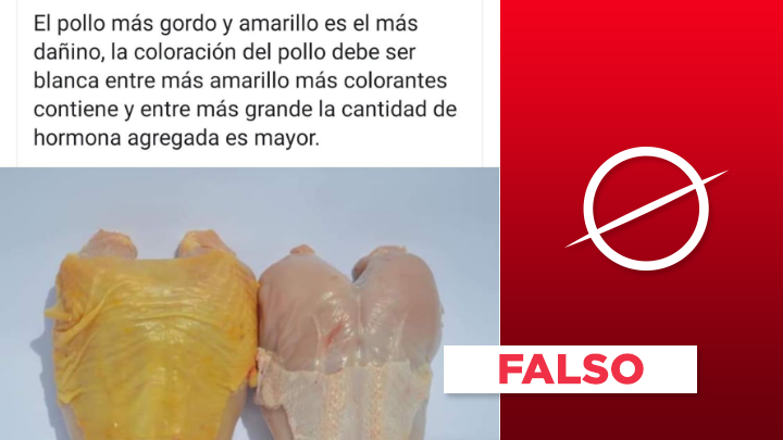 Es falso que el “pollo amarillo” sea dañino y tenga hormonas