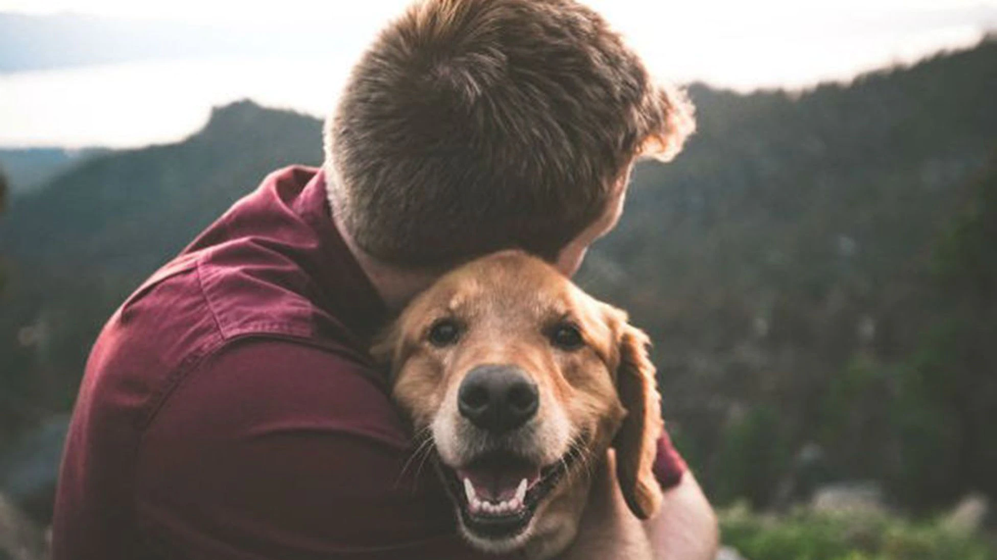 Día del Padre: perros con frases bonitas para los papás perrunos | fotos |  imagen dia del padre 2022 | como saludar por el dia del padre | Respuestas  | La República