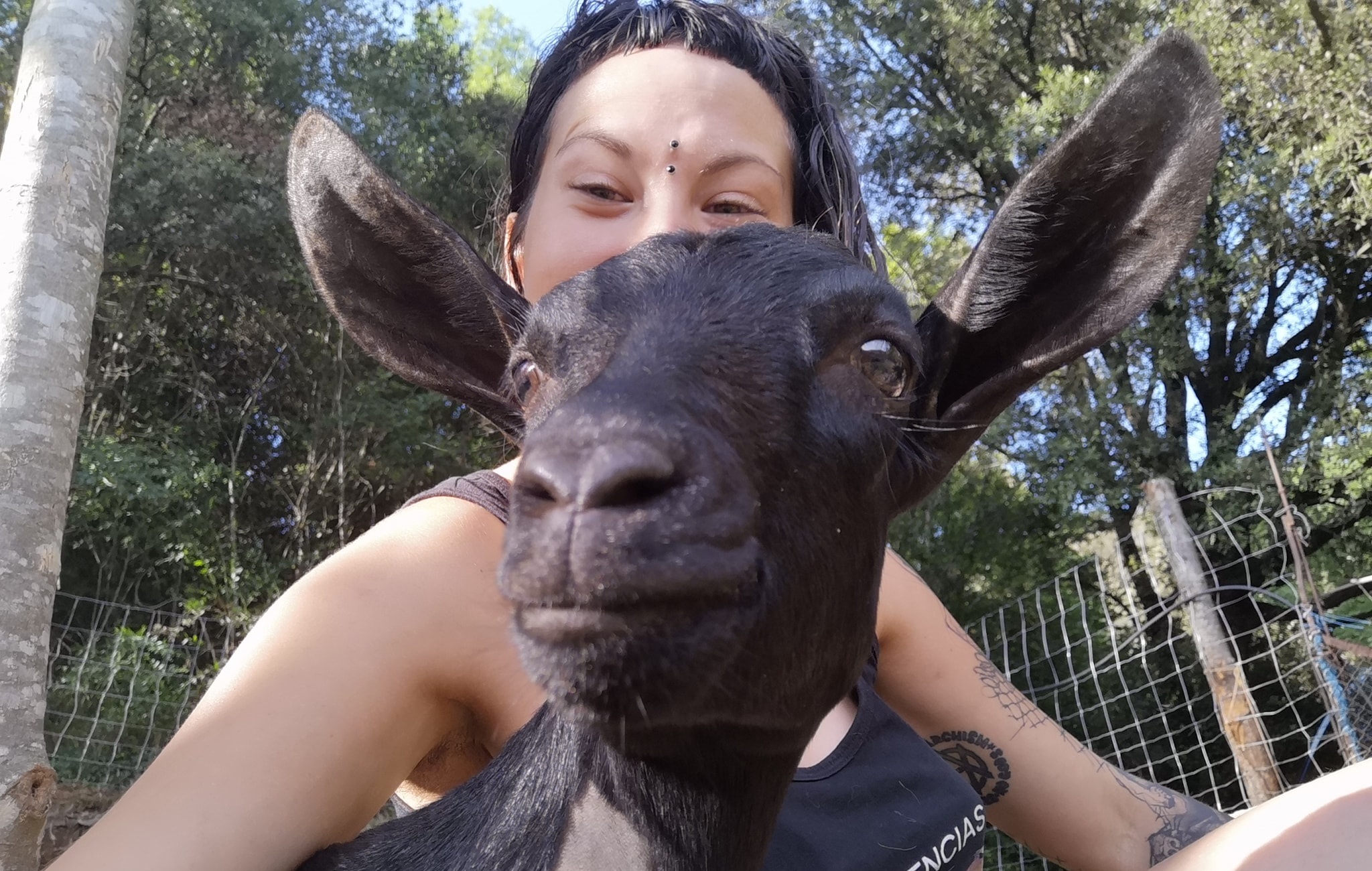 Almas Veganas | España: Activista de las gallinas violadas confiesa que  trabajó en un matadero | animales | Mundo | La República