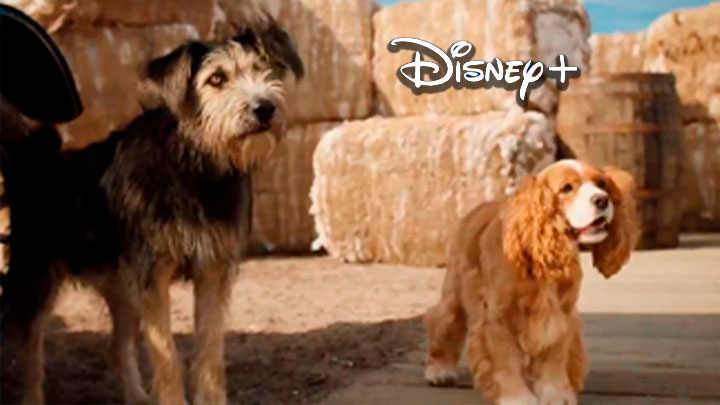 A Dama e o Vagabundo: Disney divulga novo trailer do live-action