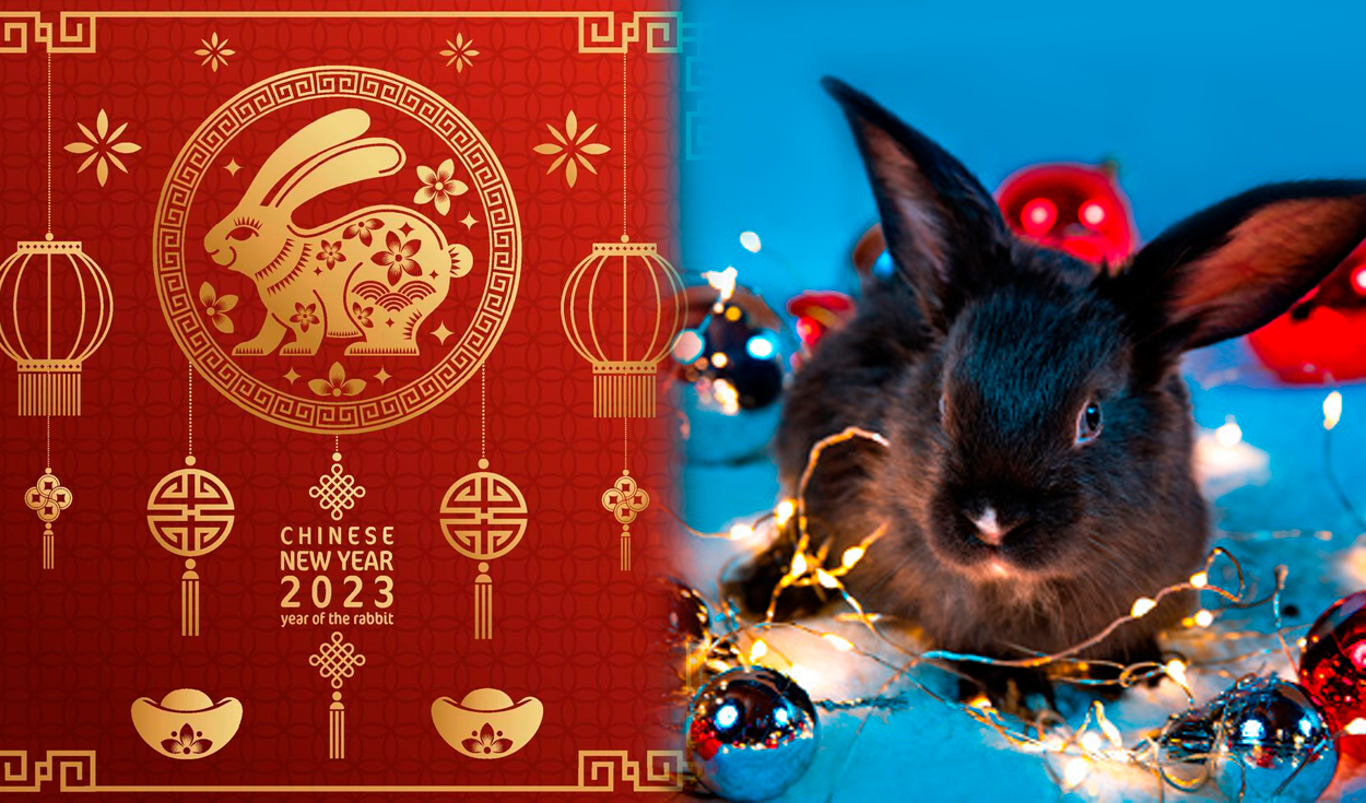 Conejo es el animal del 2023 en el calendario chino: ¿es bueno o malo?