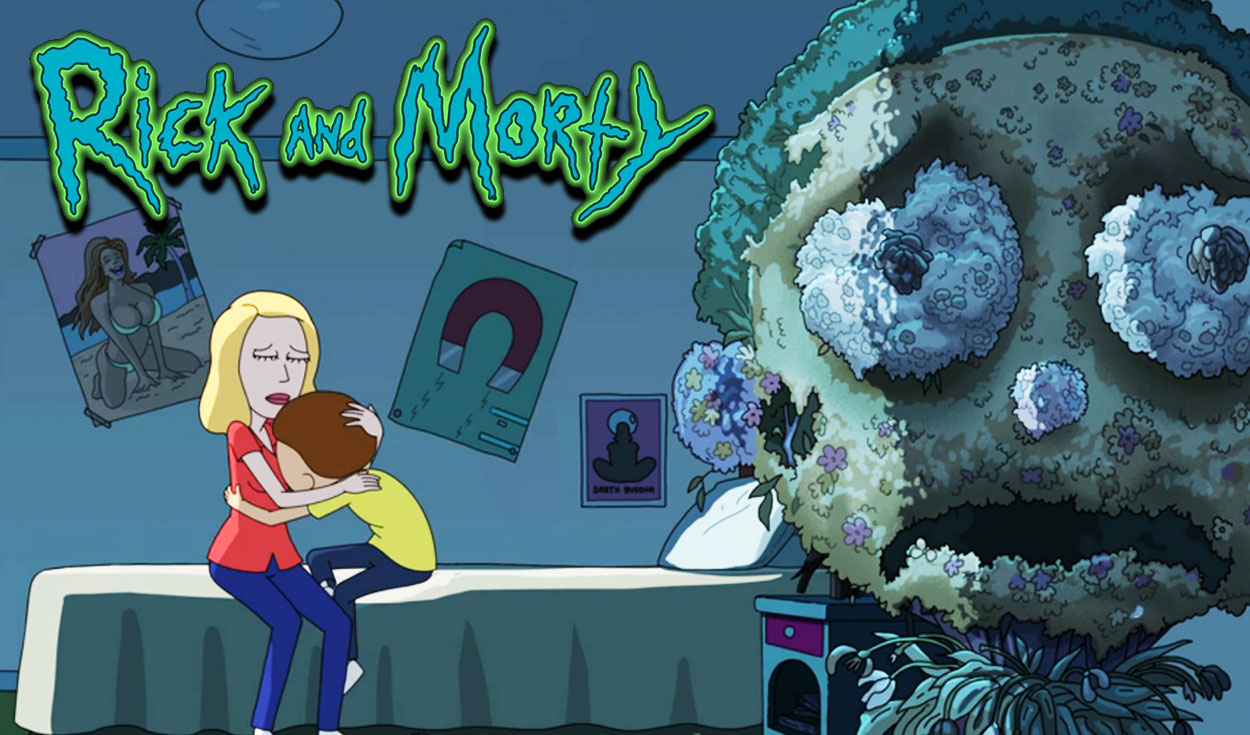 Rick y Morty temporada 5 último capítulo en español latino completo y  gratis | Cine y series | La República