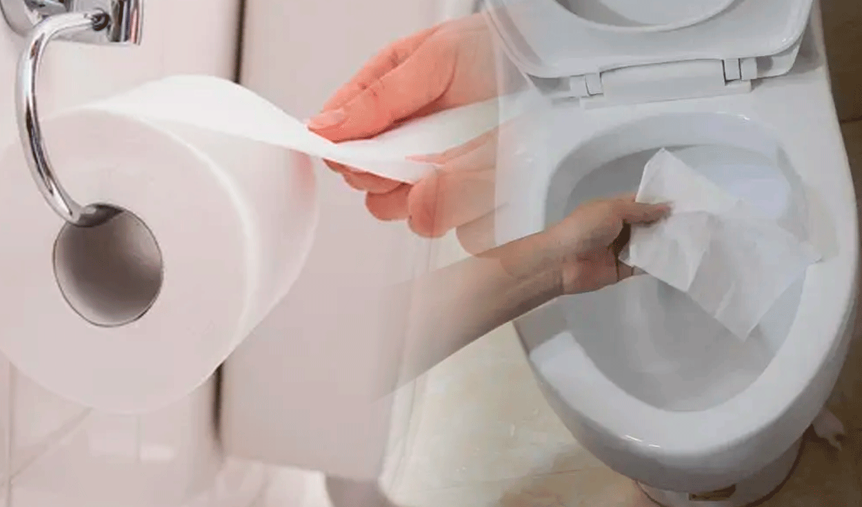 Este accesorio para el inodoro hará que te olvides del papel higiénico para  siempre