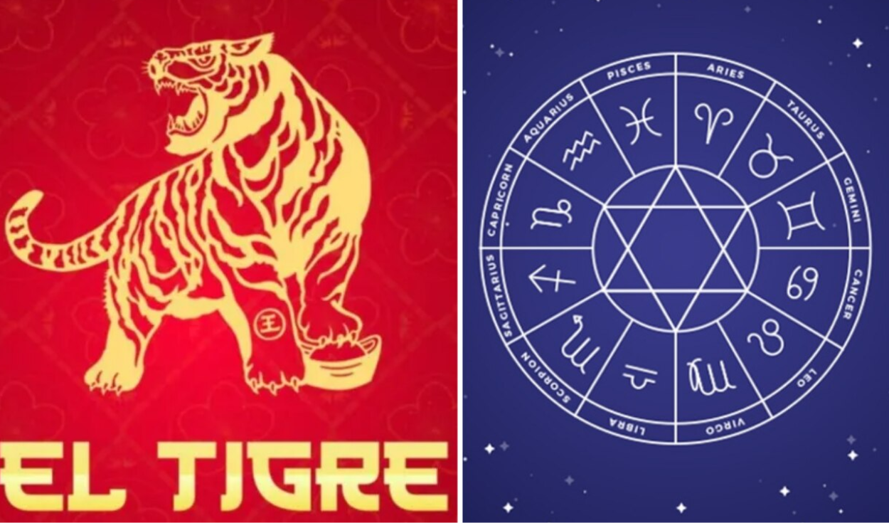 Horóscopo Chino 2022: conoce cómo te irá en el amor, salud y dinero según  tu signo zodiacal en el Año del Tigre de Agua, Astrología y tarot, Horóscopo