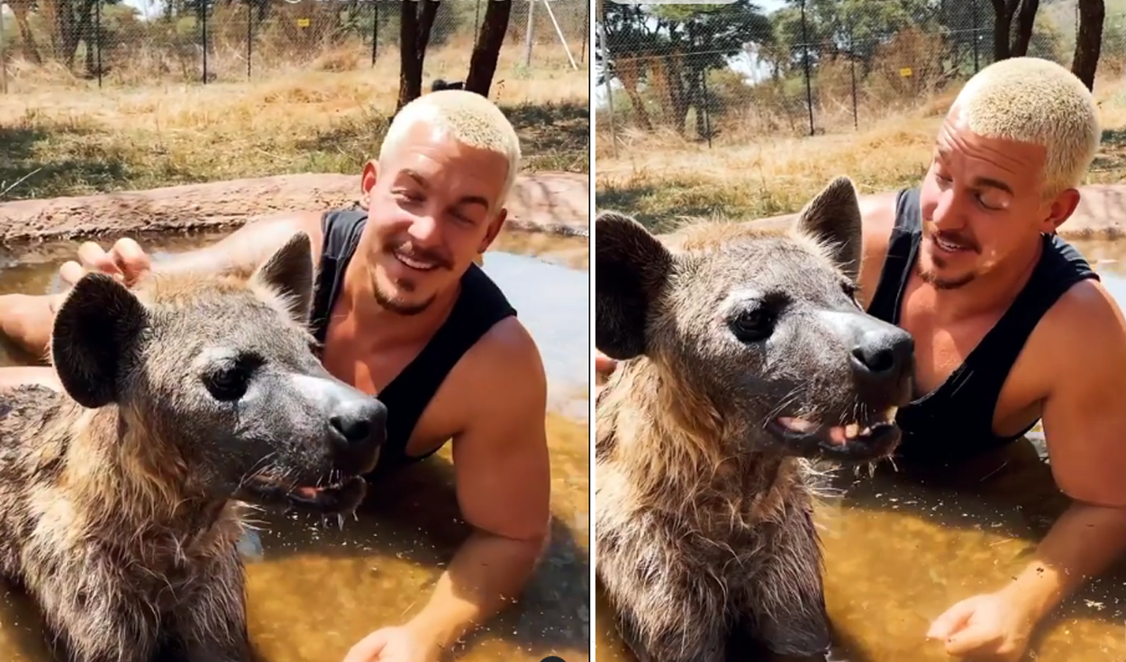 YouTube viral: hombre acaricia a feroz hiena dentro de una piscina y esta  tiene una efusiva reacción Dean Schneider Video | Tendencias | La República