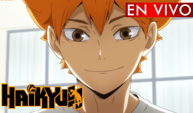 Haikyuu temporada 4 Online sub Español: dos nuevos personajes, Cuándo y  dónde ver, Hinata Shoyo, Anime, Manga Online, Cine y series