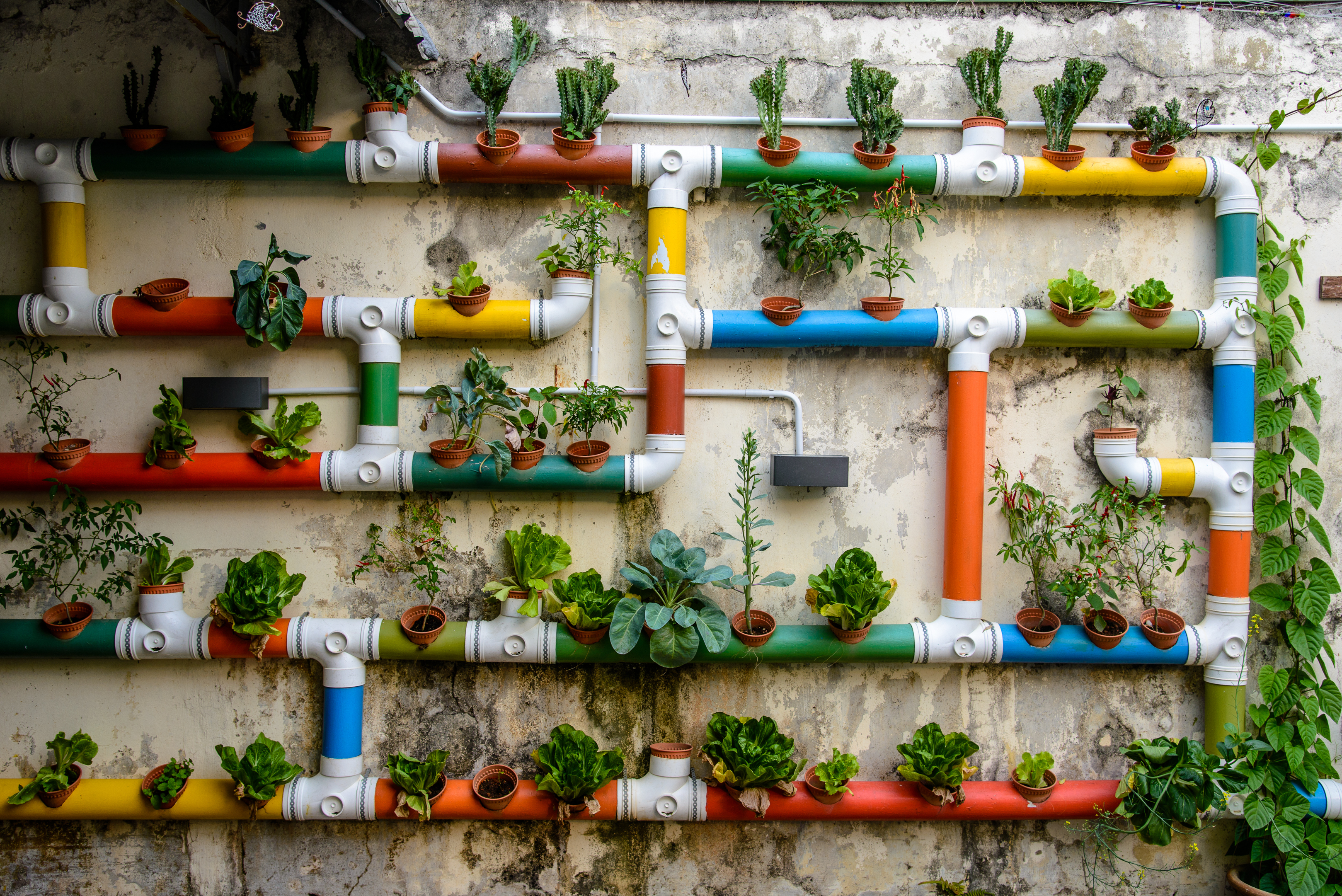 interesante y creativa forma de realizar un jardín vertical