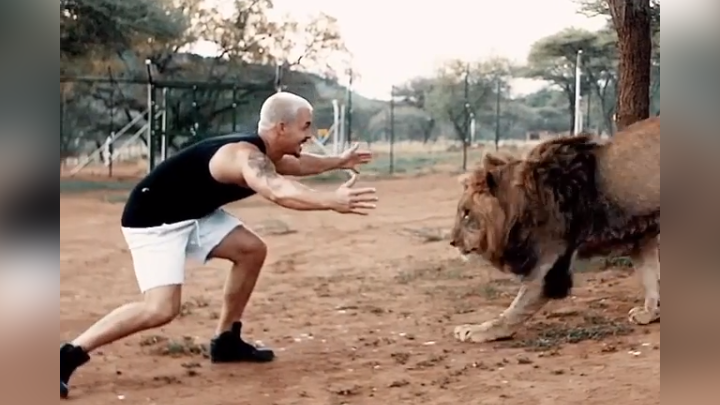 YouTube viral: Cuidador de leones ingresa a jaula de felino que cuidó de  bebé y este tiene efusivo comportamiento | Video | Viral | Dean Schneider |  Animales | México | Mx | EEUU | Tendencias | La República