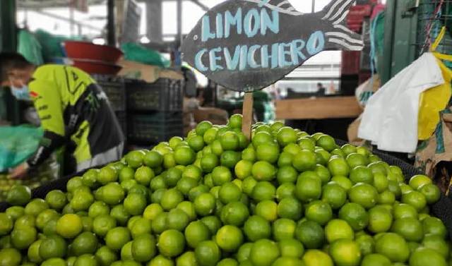 Precio mayorista del limón ha caído hasta 54% en lo que va de octubre
