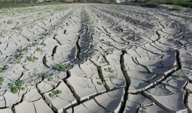 FAO: se han perdido US$3,8 billones en cultivos y ganado por catástrofes en los últimos 30 años
