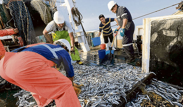 Avanza pesca exploratoria en favor de la industria