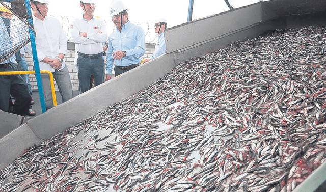 Produce autoriza segunda temporada de pesca en plena captura exploratoria