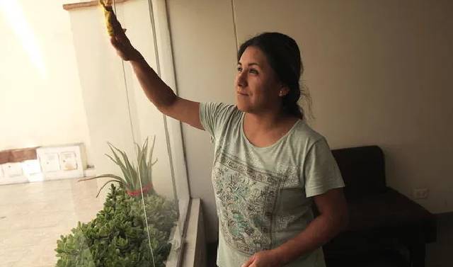 Siete de cada diez mujeres se encarga de labores del hogar sin remuneración