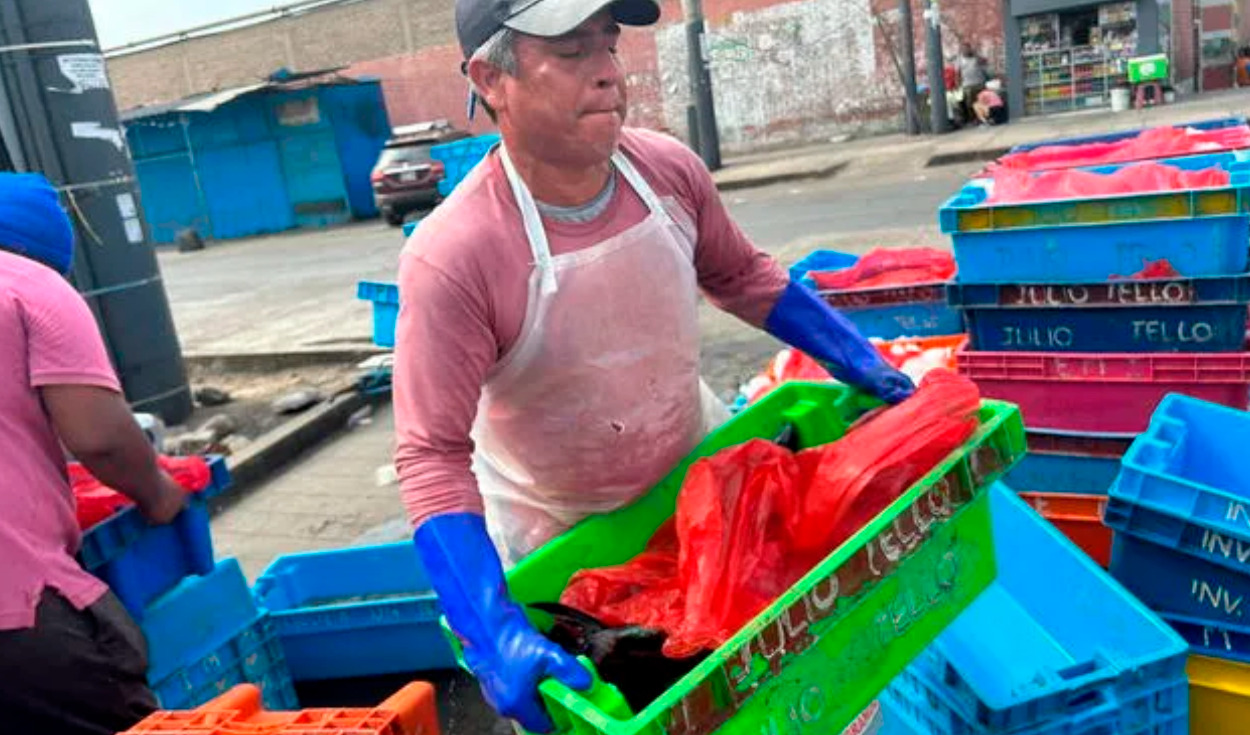 Callao: precios de pescados hasta se quintuplicaron por oleajes anómalos