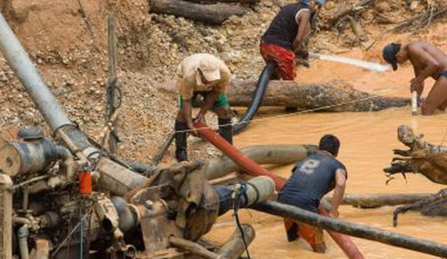 Vicariato de Jaén cuestiona el ingreso impune de mineros ilegales al norte de Amazonas