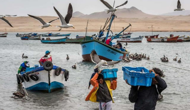 Bono S/700: pescadores artesanales tienen hasta el 28 de febrero para cobrar