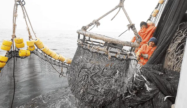 En 36 años, nadie ha pedido permiso para pesca industrial en reserva de Paracas