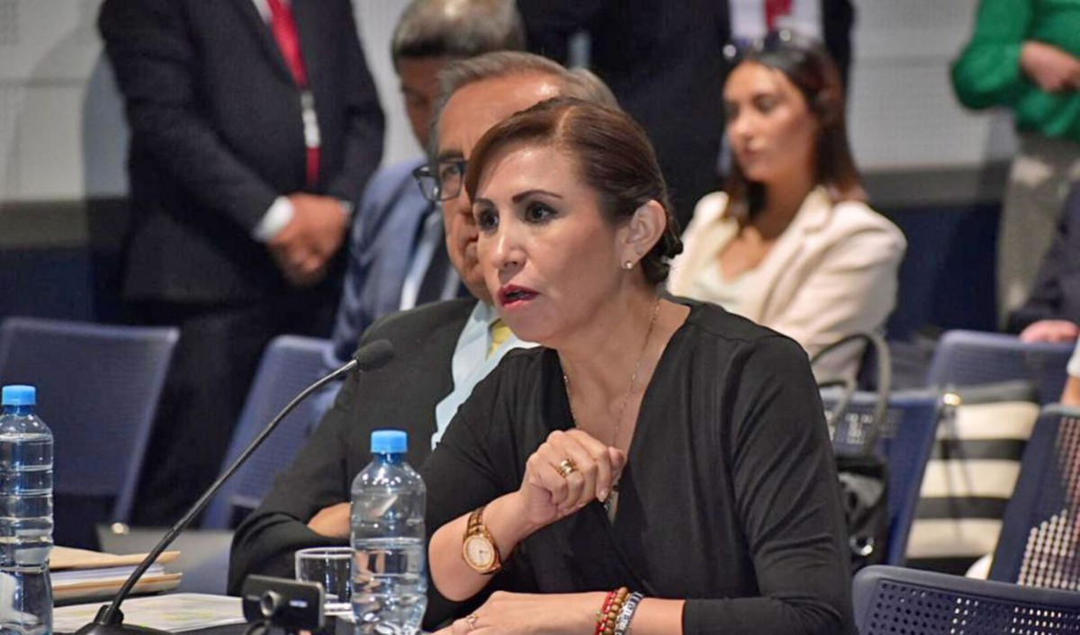 Proponen destituir del Poder Judicial y la Fiscalía a las hermanas Patricia y Emma Benavides Vargas