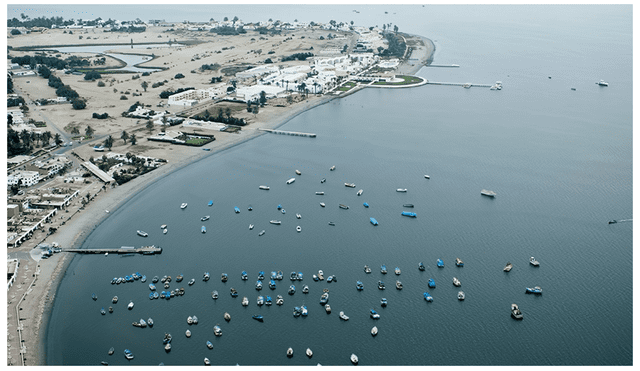 No procede la pesca industrial en la reserva de Paracas