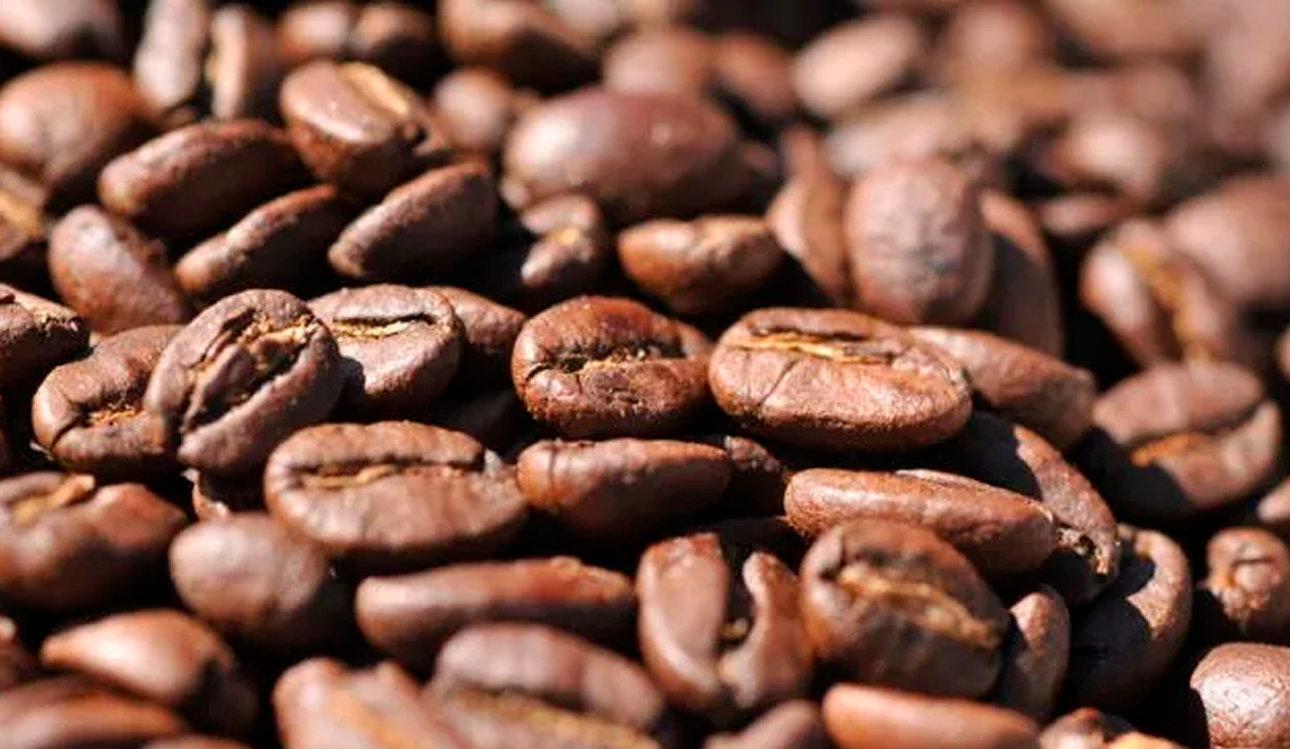 Picos históricos del cacao y café globales impulsaron 16% las exportaciones amazónicas del Perú