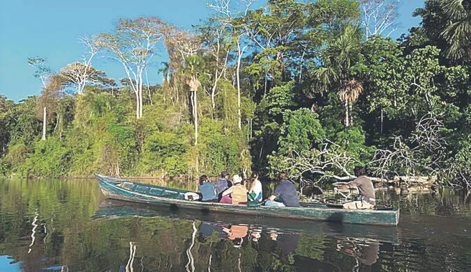 Más de US$30.000 millones podría captar la Amazonía