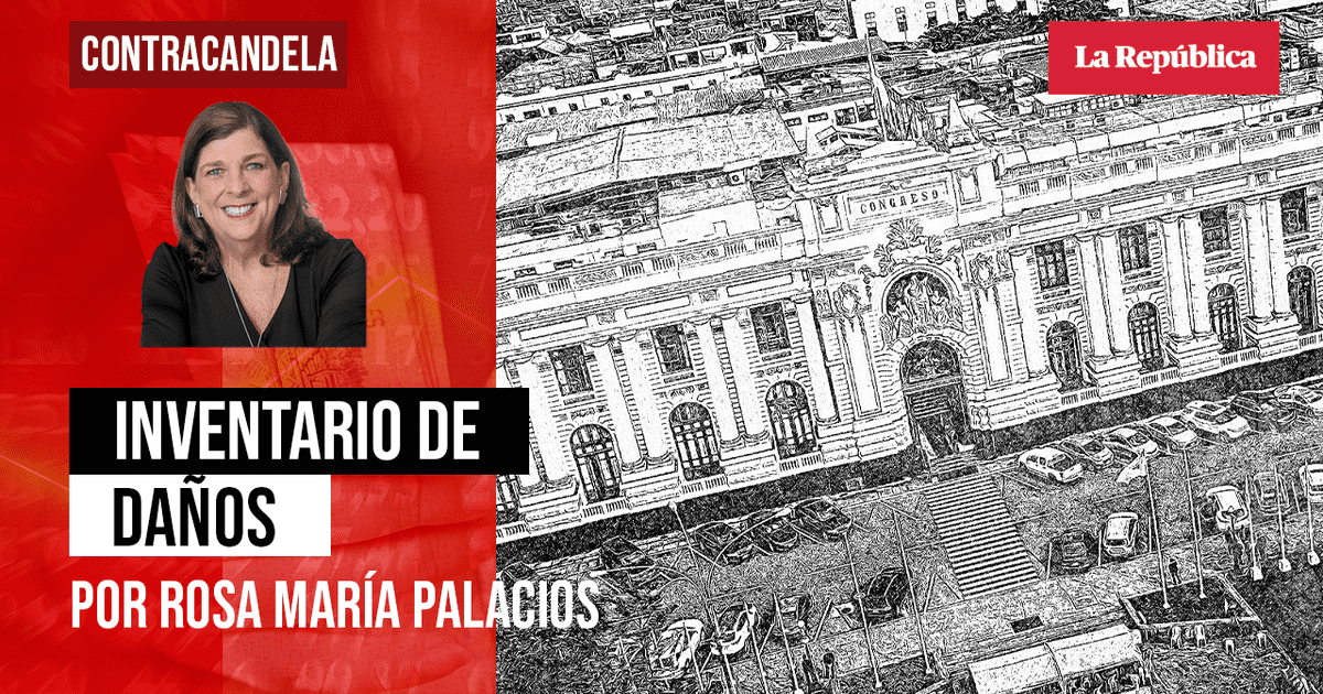 Inventario de daños, por Rosa María Palacios