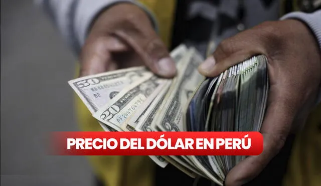 Precio del dólar hoy en el Perú: cuál es el tipo de cambio para este lunes 24 de junio