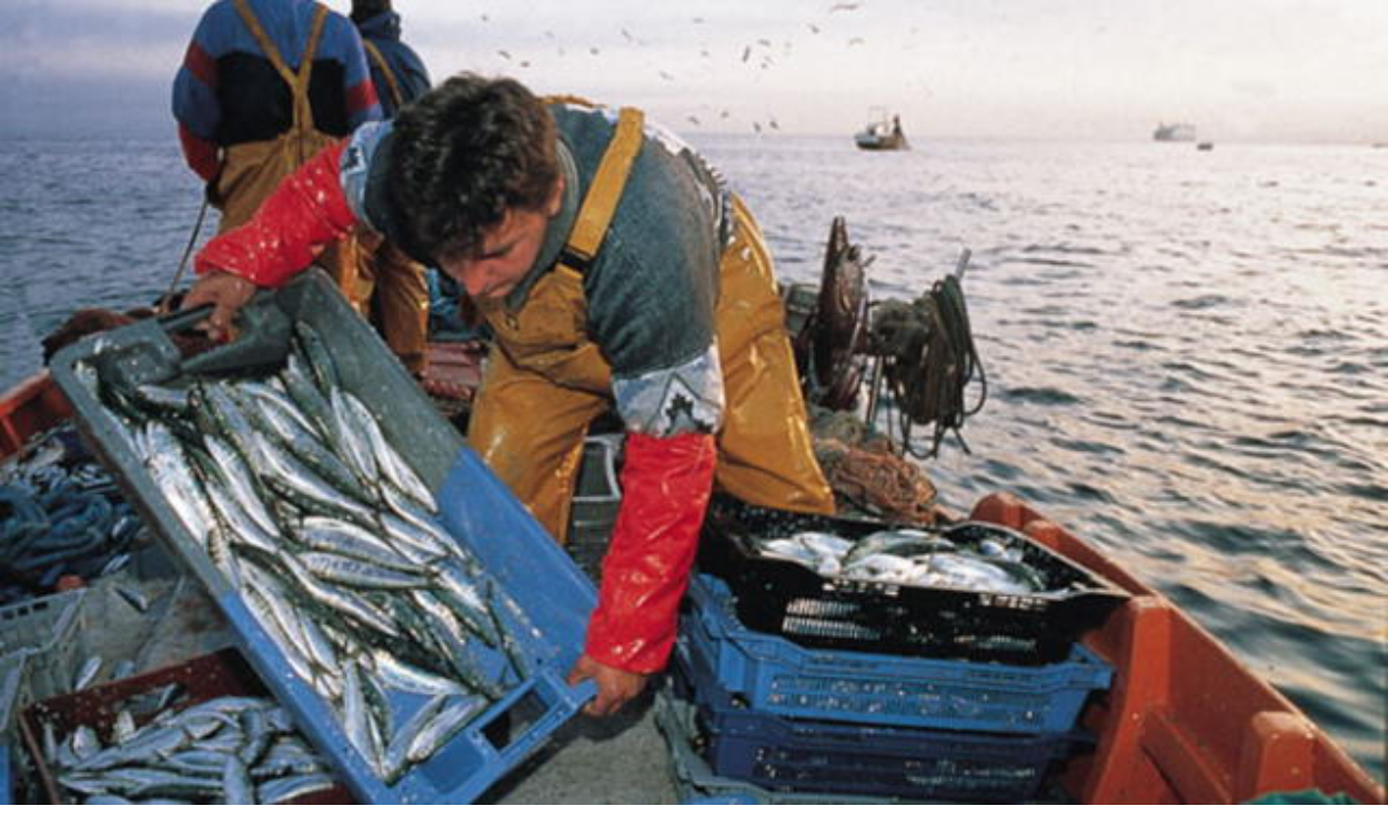 En el Día del Pescador, las 5 millas del mar de Grau siguen sin ser reglamentadas