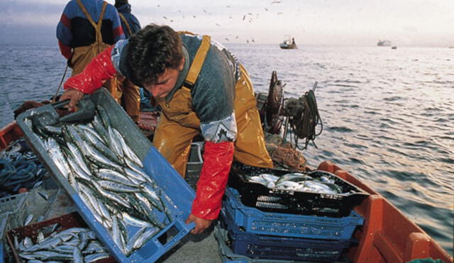 En el Día del Pescador, las 5 millas del mar de Grau siguen sin ser reglamentadas