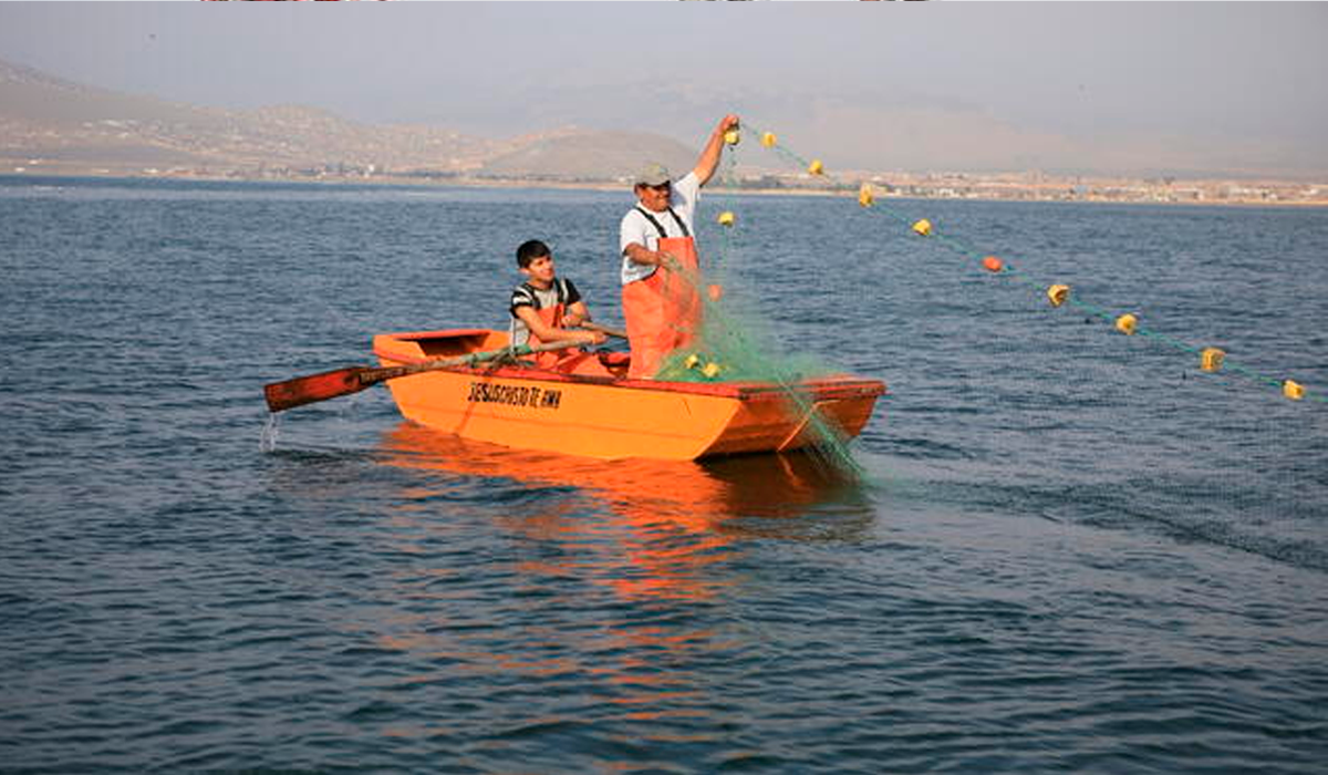 Produce publicó reglamento para ordenamiento de pesca artesanal y de menor escala