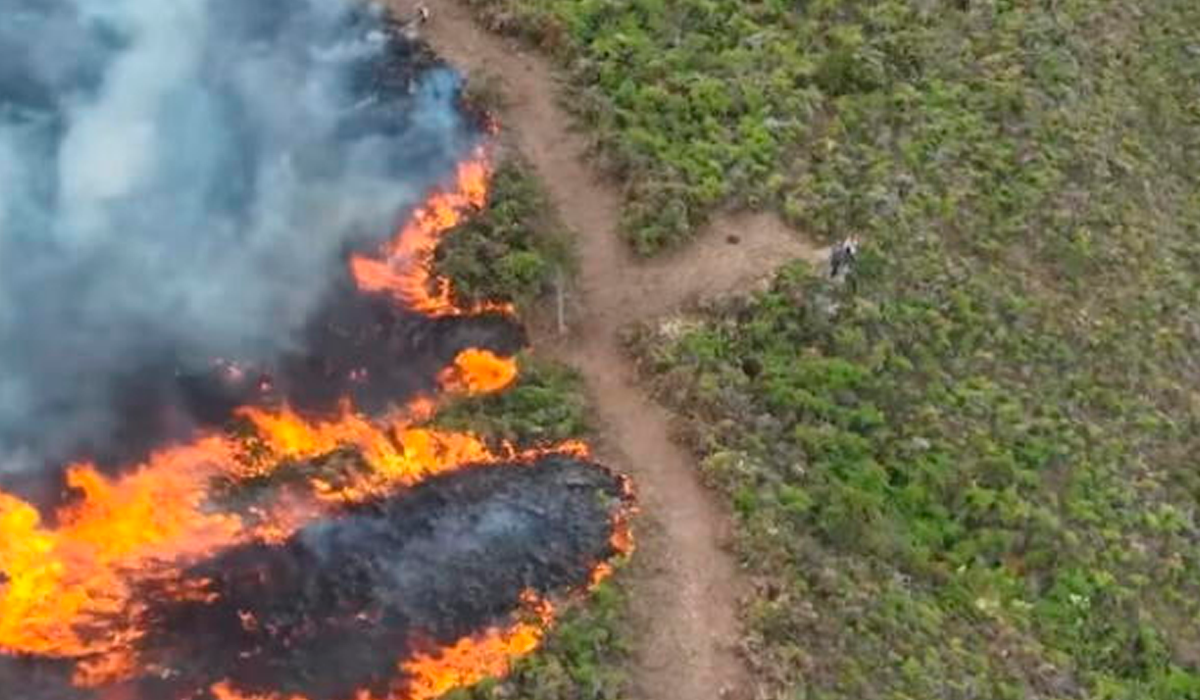 Incendios forestales dejan 14 fallecidos y 98 heridos