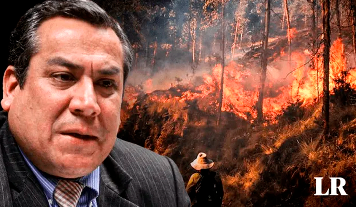 Gustavo Adrianzén sobre incendios forestales en el país: 