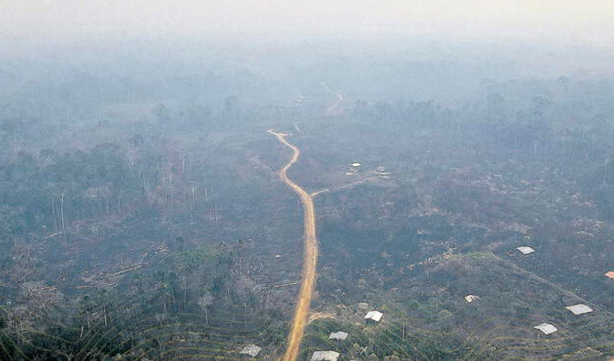 Humareda de incendios forestales preocupa en la Amazonía