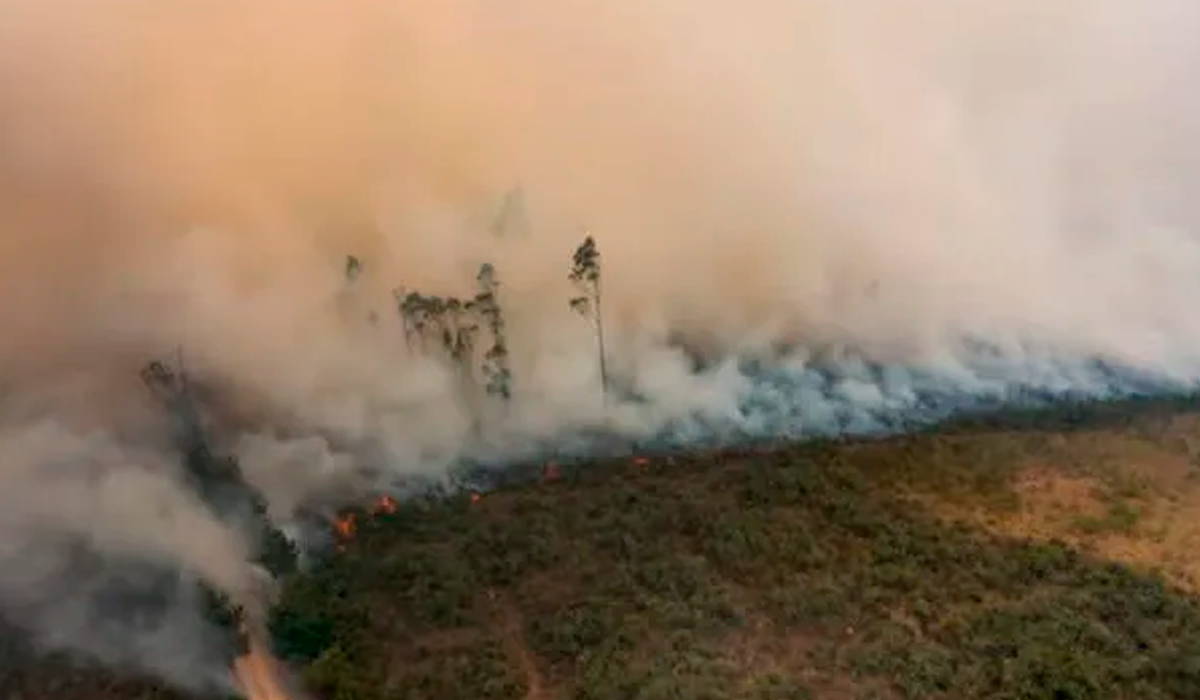 Más regiones piden estar en emergencia ante incendios