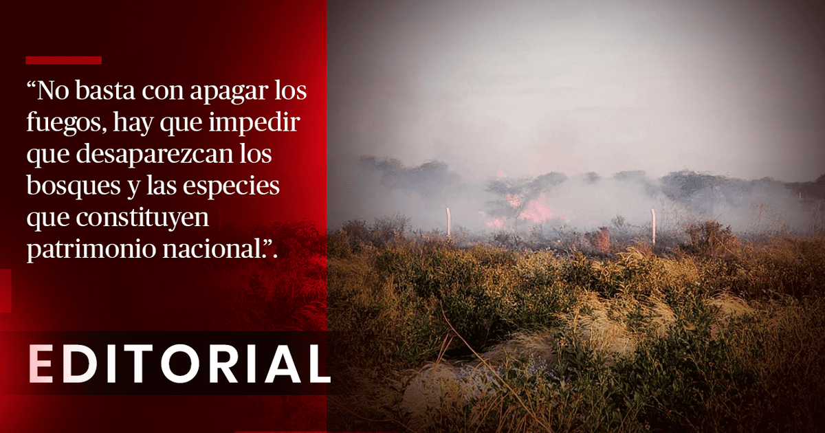 Editorial: Emergencia nacional por incendios forestales