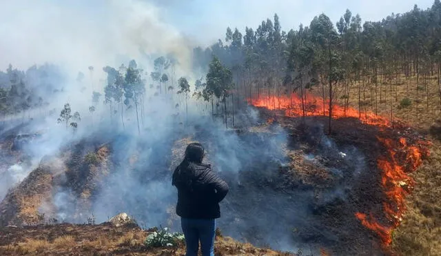 Líderes indígenas alistan marchas por incendios forestales