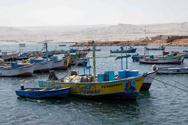 They seek to strengthen the process of formalizing the artisanal fishing activity