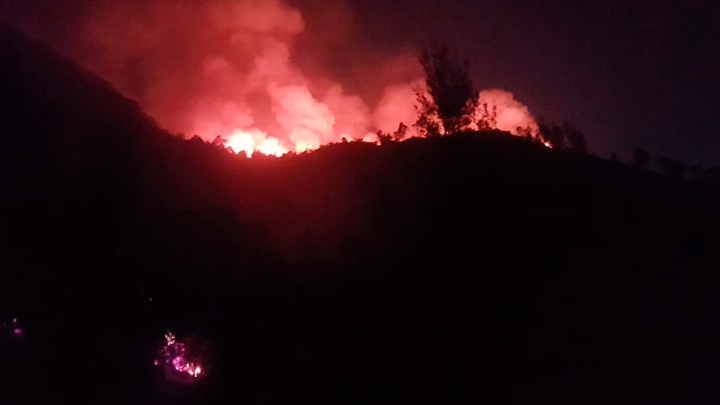México: derrumbe de cerro Chiquihuite deja al menos cuatro desaparecidos y casas sepultadas