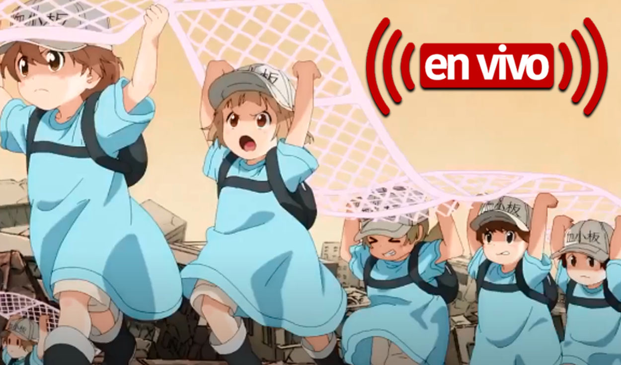 Cells at Work! Confirma data de estreia de 2ª temporada!