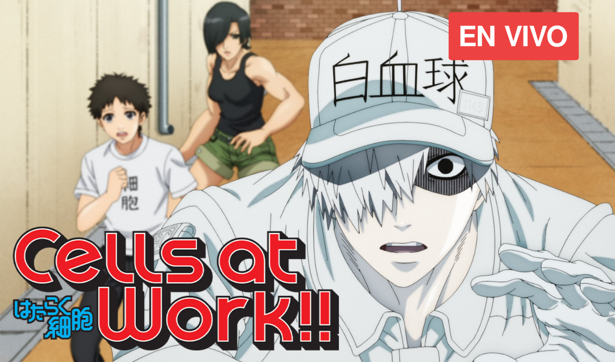 Assistir Hataraku Saibou!! 2 Episodio 5 Online